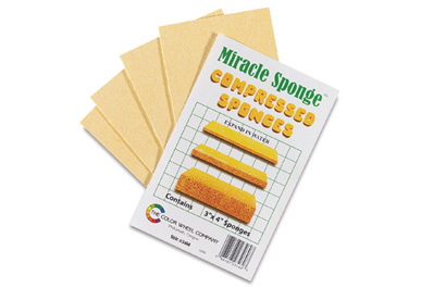 Miracle Sponges