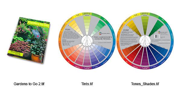 The Pocket Color Wheel, Project 365, 2022 Editoin: Day 203/…